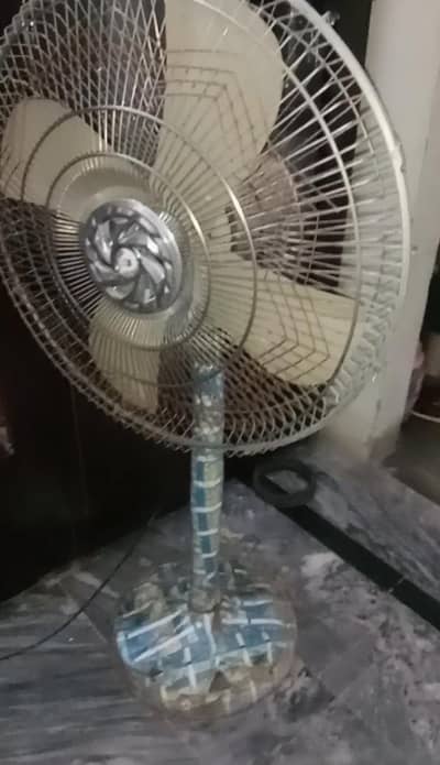 fan forsale