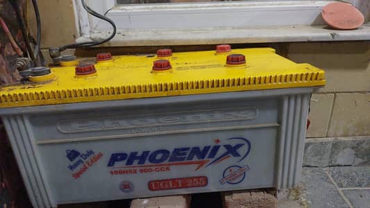 phenix 255 biggest batter