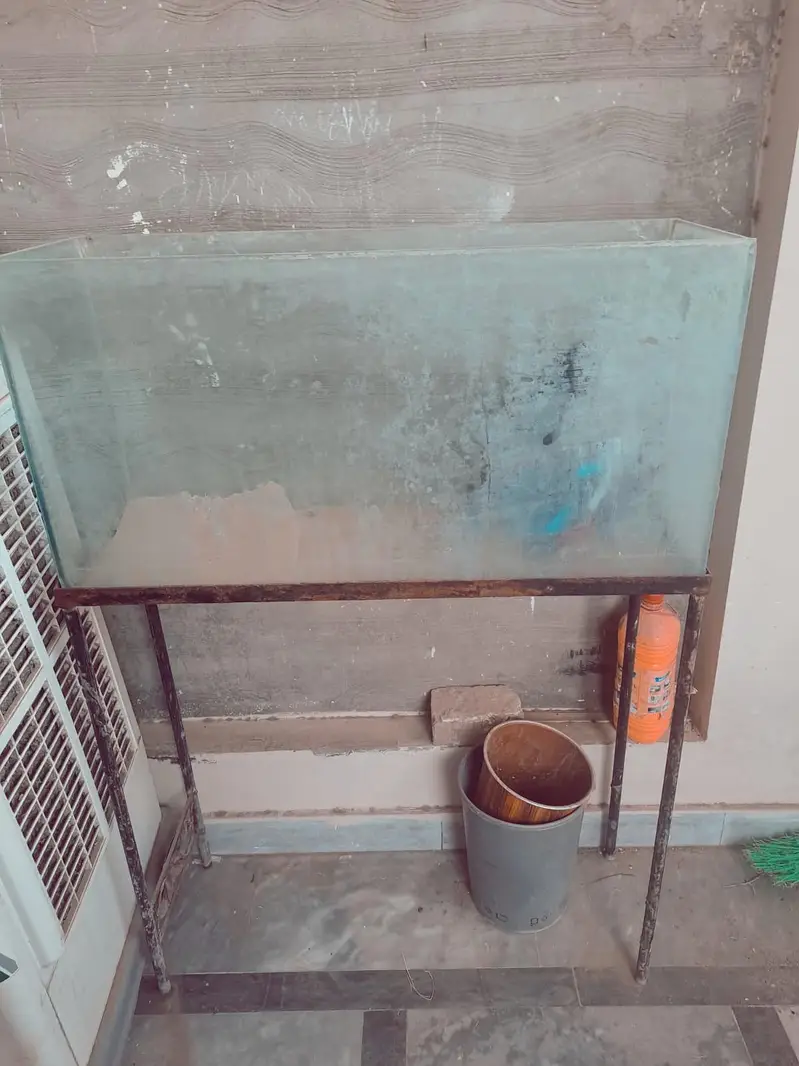 fish Aquarium 12 MM Thick Glass