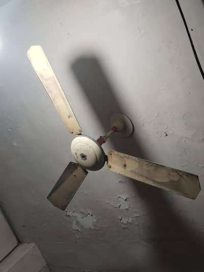 fan sale