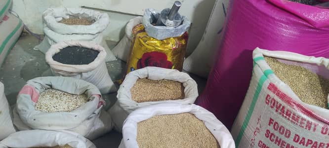 all tepy of bird seeds