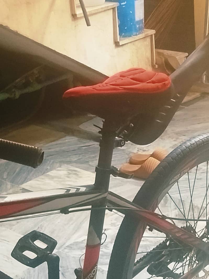 Full size cycle 1