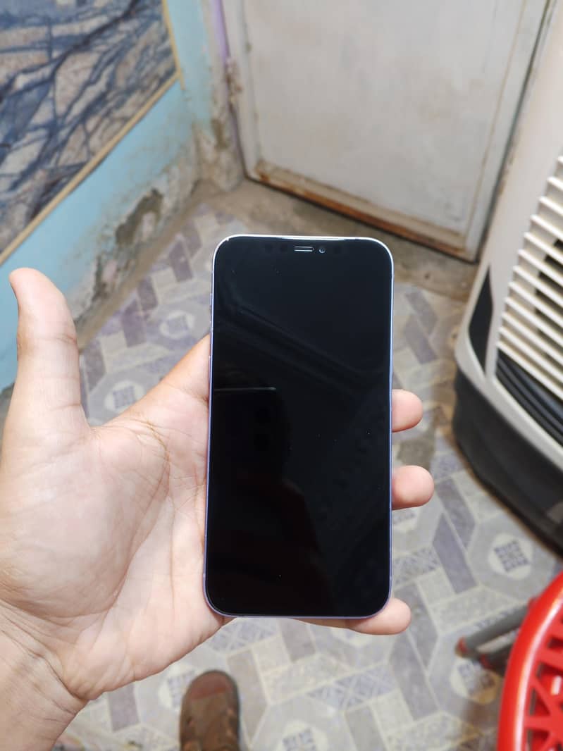 Apple iPhone 12 1