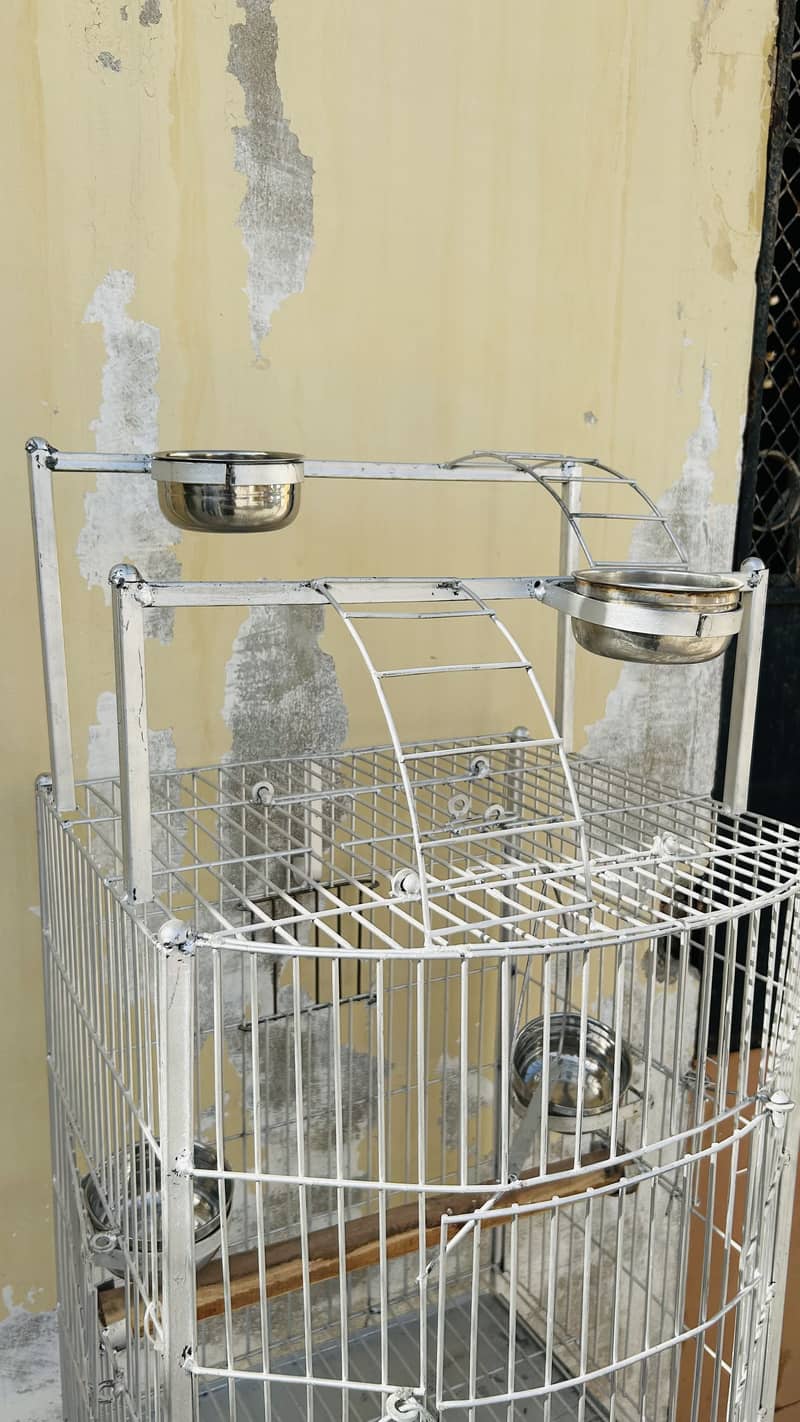 Bird Cage 1