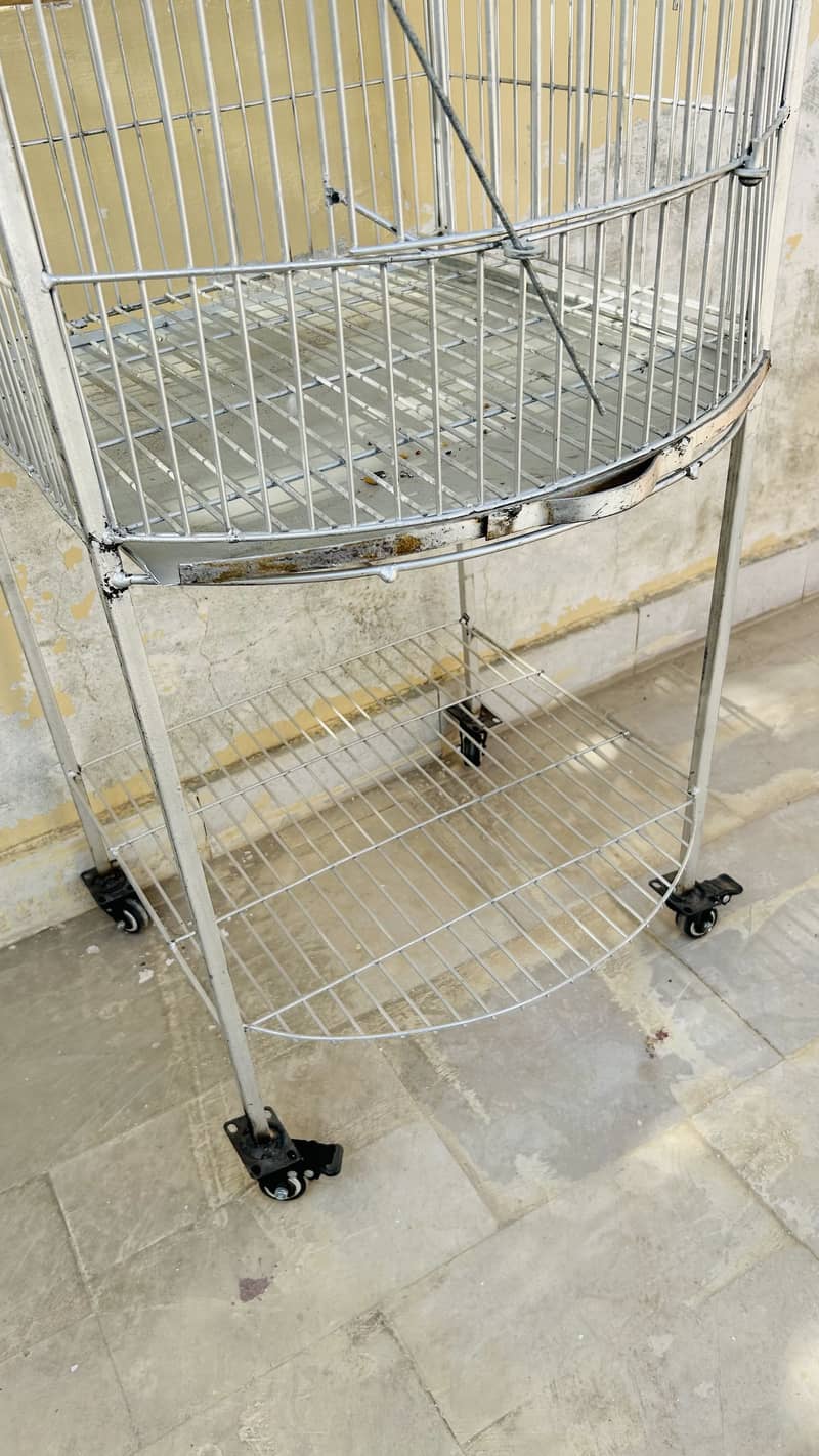 Bird Cage 3