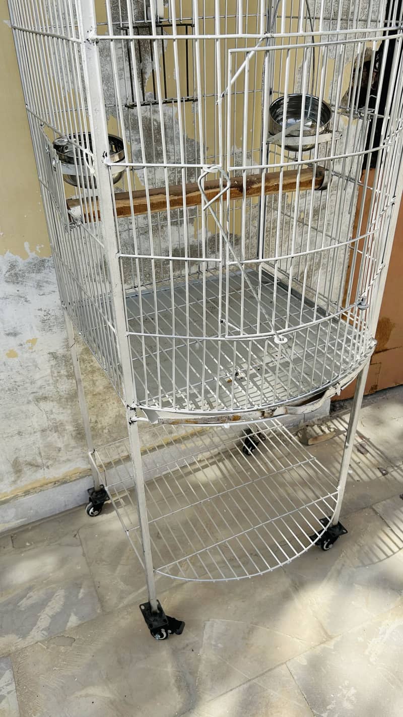 Bird Cage 4