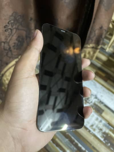 Iphone 12 panel