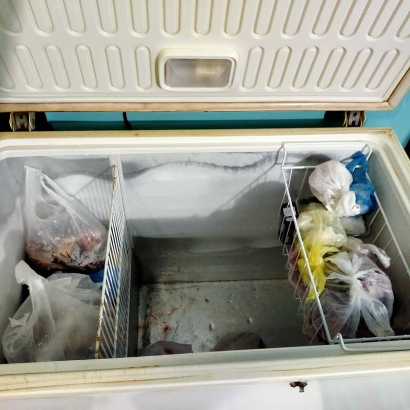 deep freezer 2