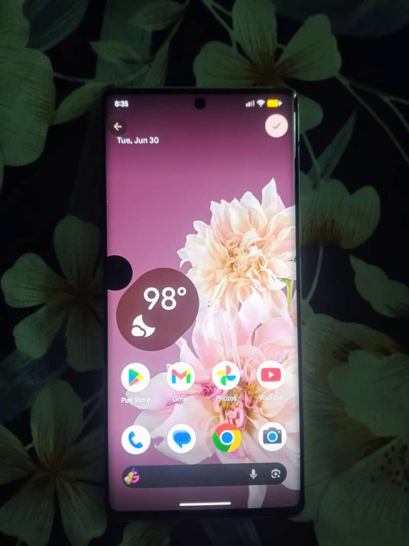 l pixel 6 Pro only exchange 3