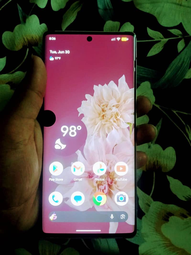 l pixel 6 Pro only exchange 4