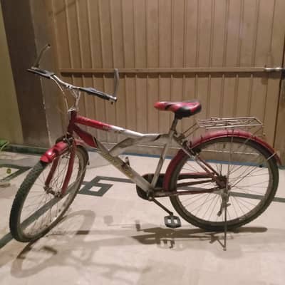 Mountain Cycle For Kids