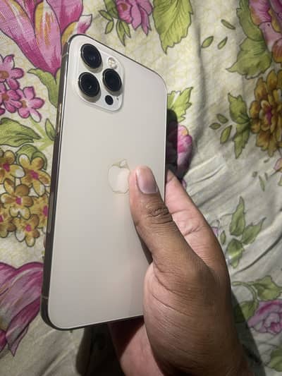 Apple iPhone 12 Pro Max