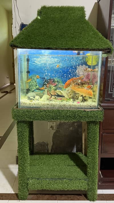 Fish teng