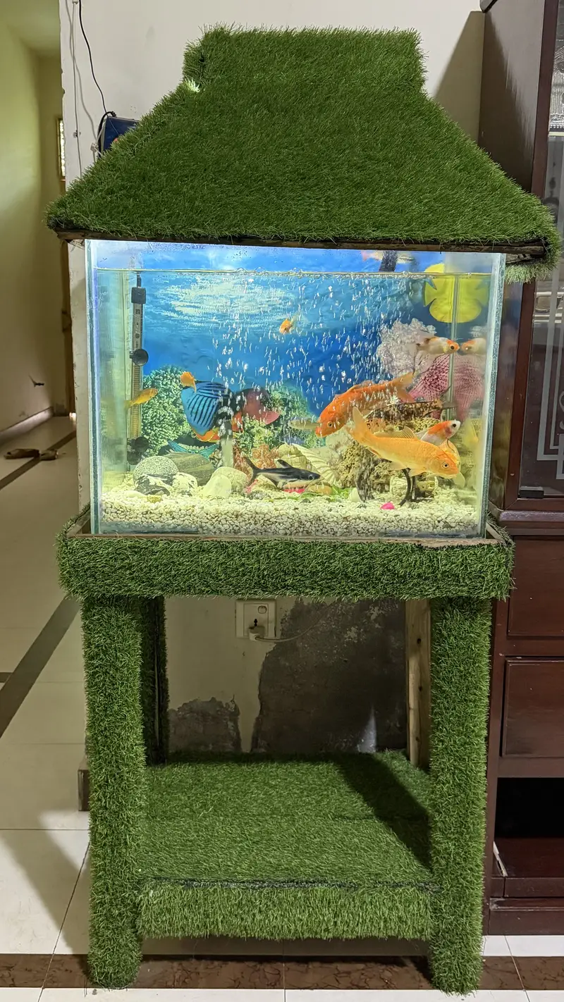 Fish teng