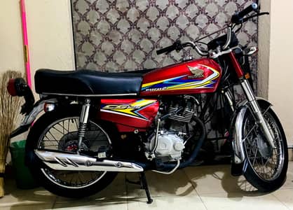 Lush Condition Honda