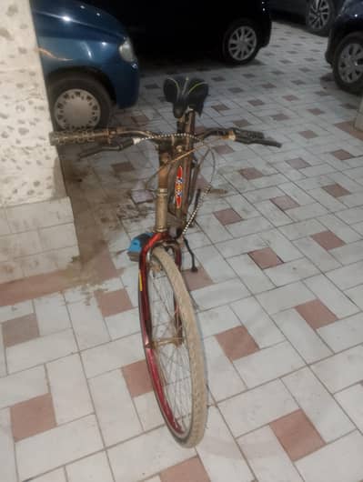cycle for sell