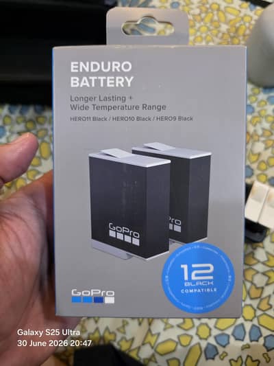 Dual Battery Charger + Enduro Batteries