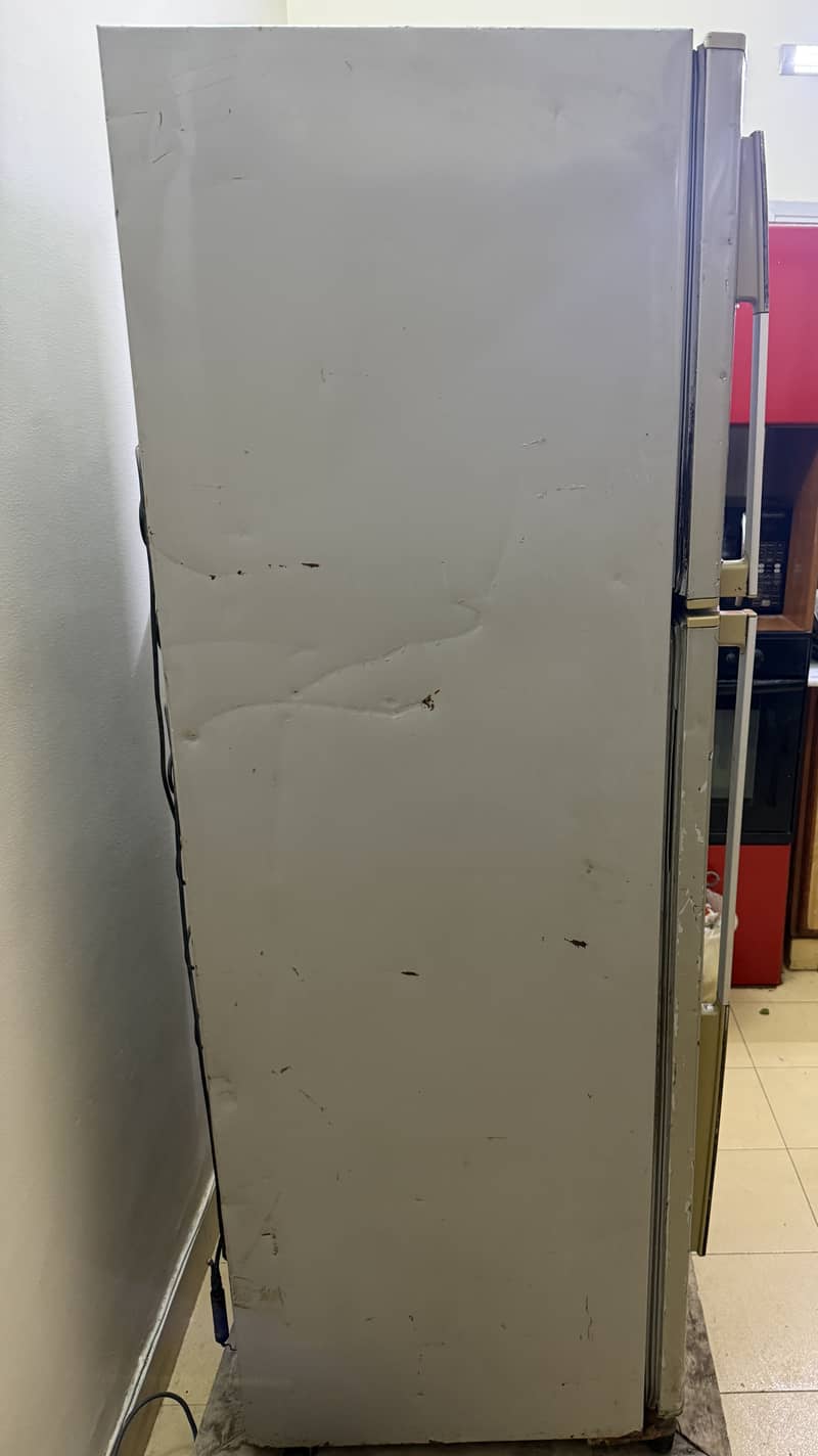 03282995494Refrigrater 3