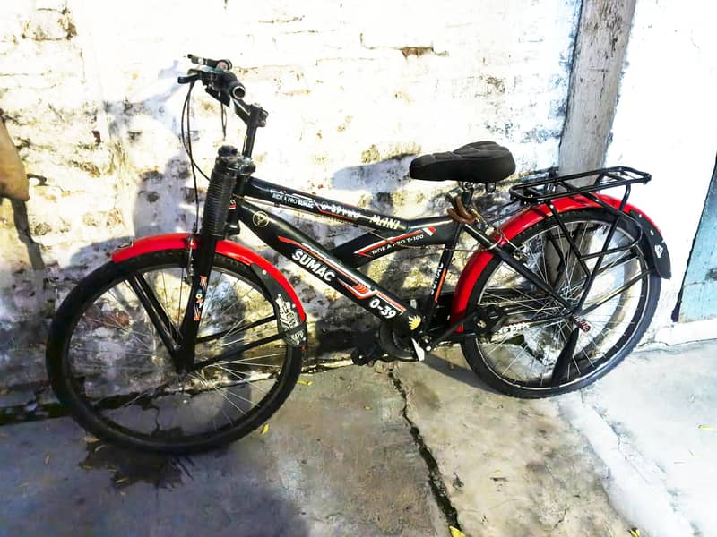 bicycle sumac 1