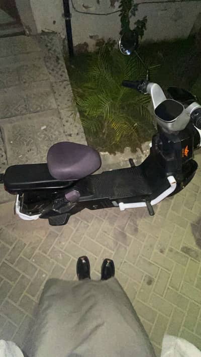 Superstar pigeon scooty