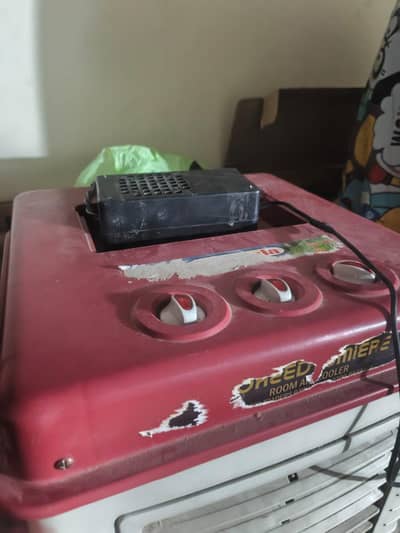 12 V Cooler For Sale Small