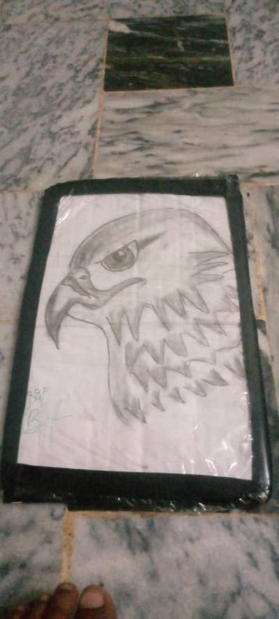 my sketch  to Shaheen