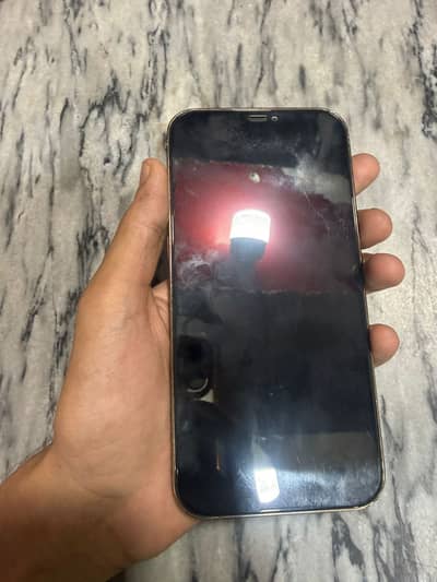 Apple iPhone 12 Pro Max
