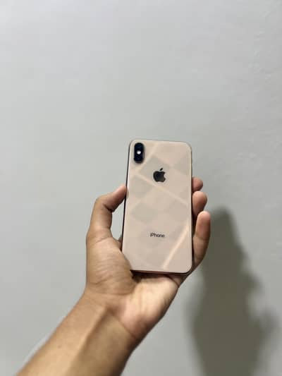 Apple iPhone XS (Panel Change)