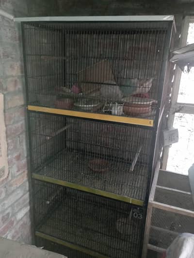 iron cage