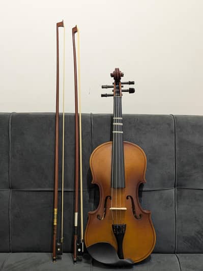 violin