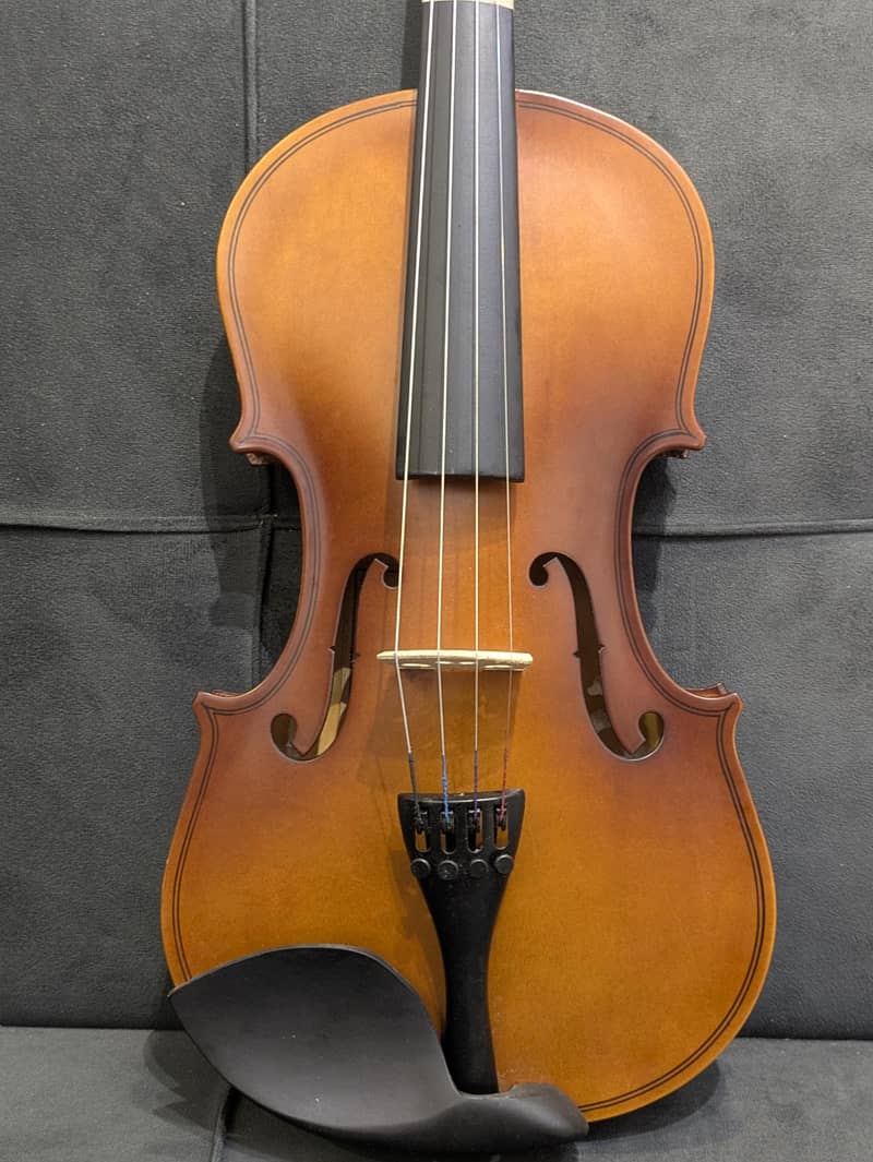 violin 6