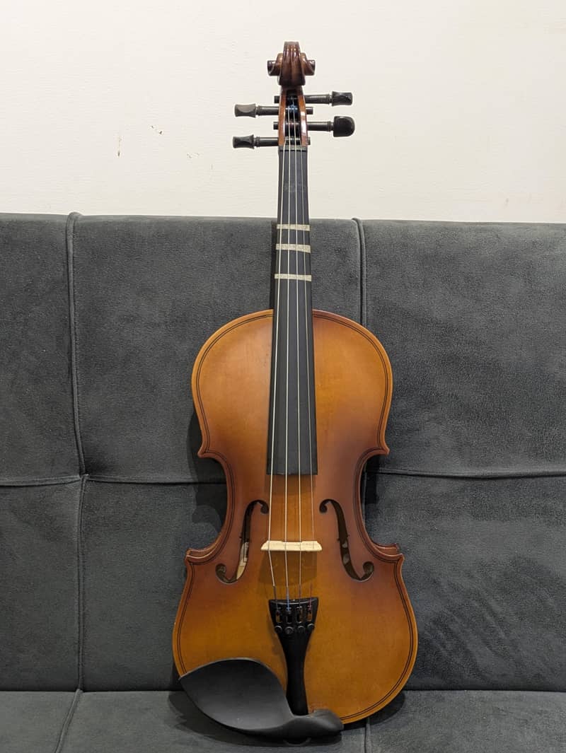 violin 8