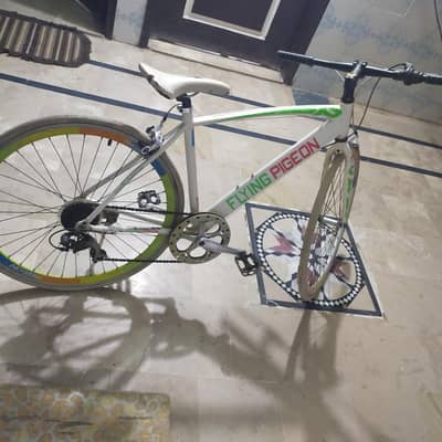sports cycle