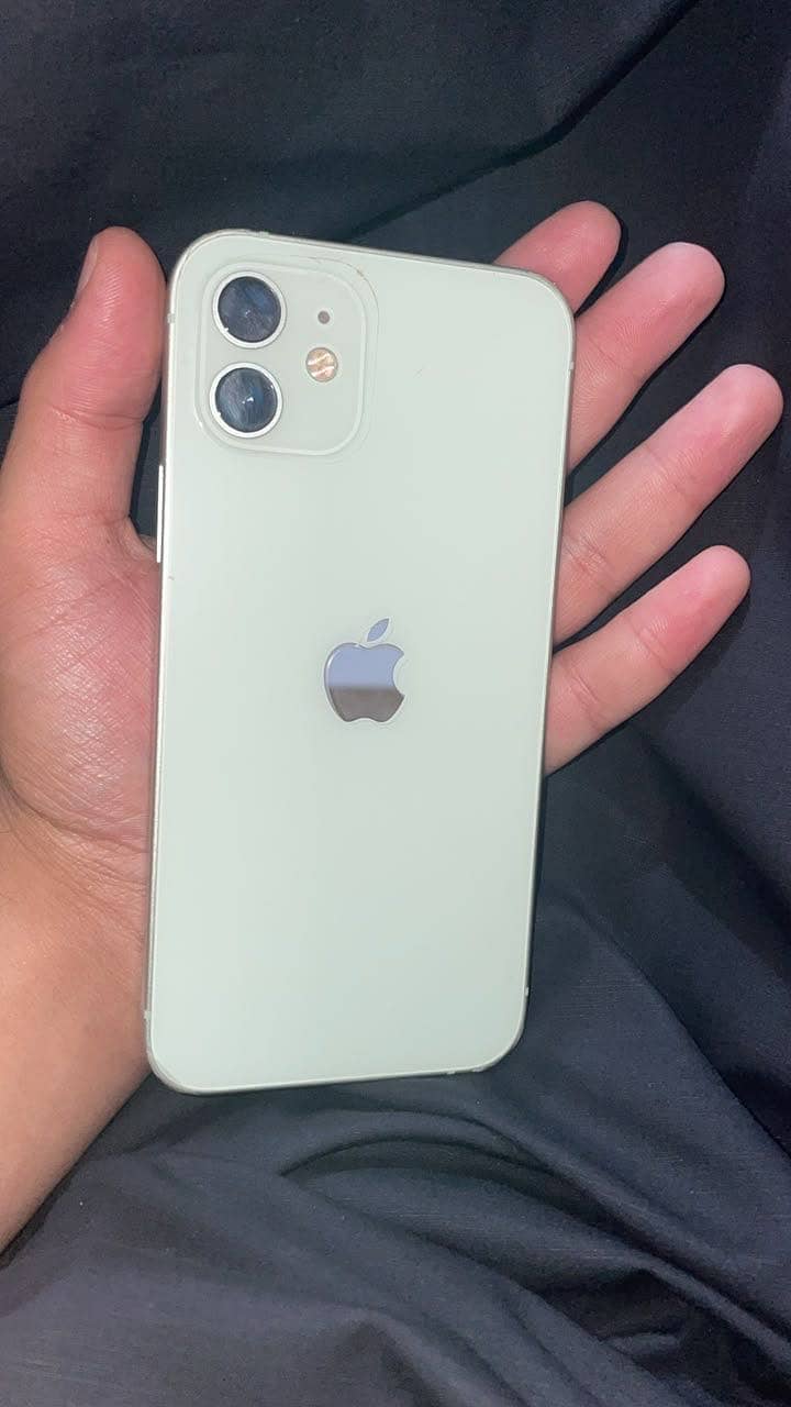 Apple iPhone 12 1