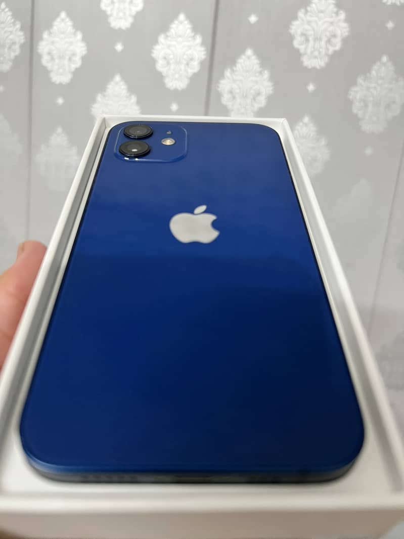 Apple iPhone 12 1