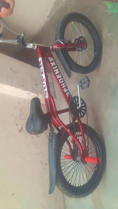 japni bicycle