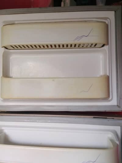 dewlance fridge