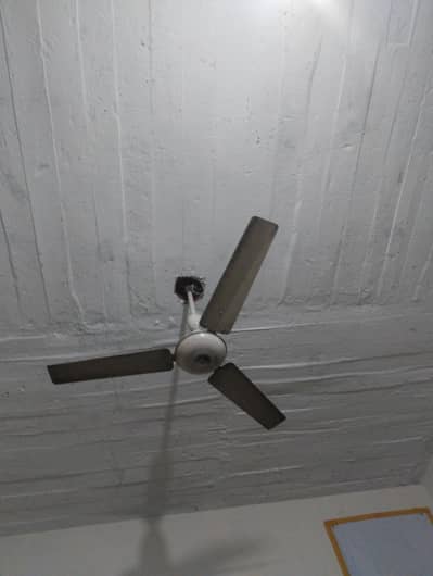 celling fan