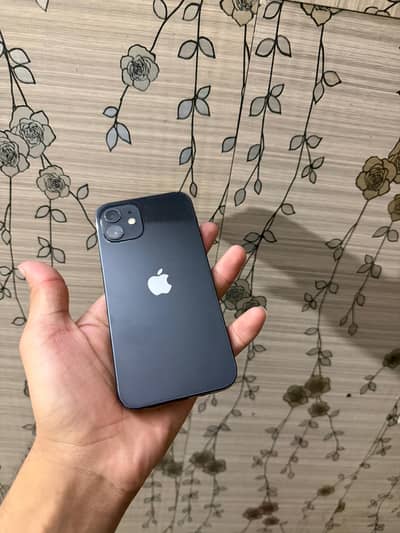 Apple iPhone 12