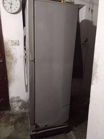 PEL jumbo Fridge