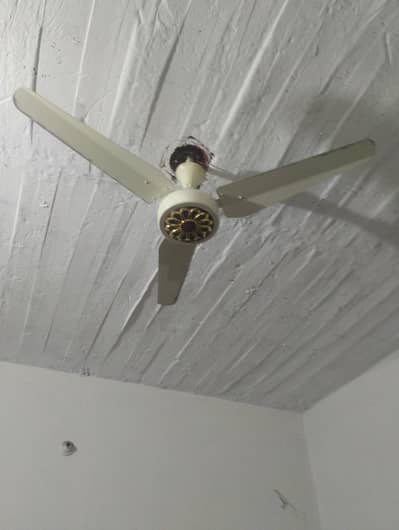 celling fan
