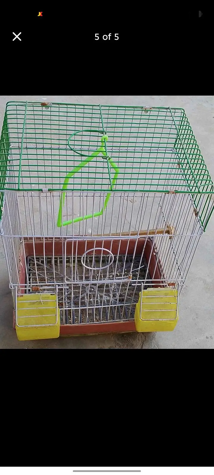 pair and Cage available — photo 5