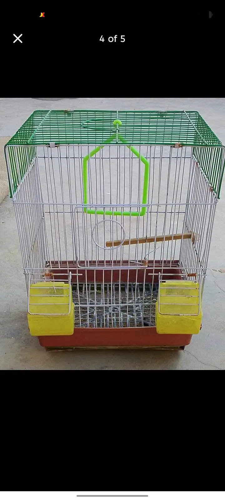 pair and Cage available — photo 6