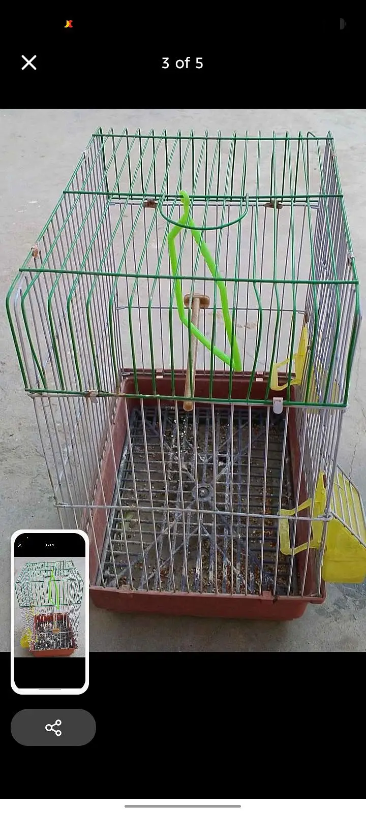 pair and Cage available — photo 7