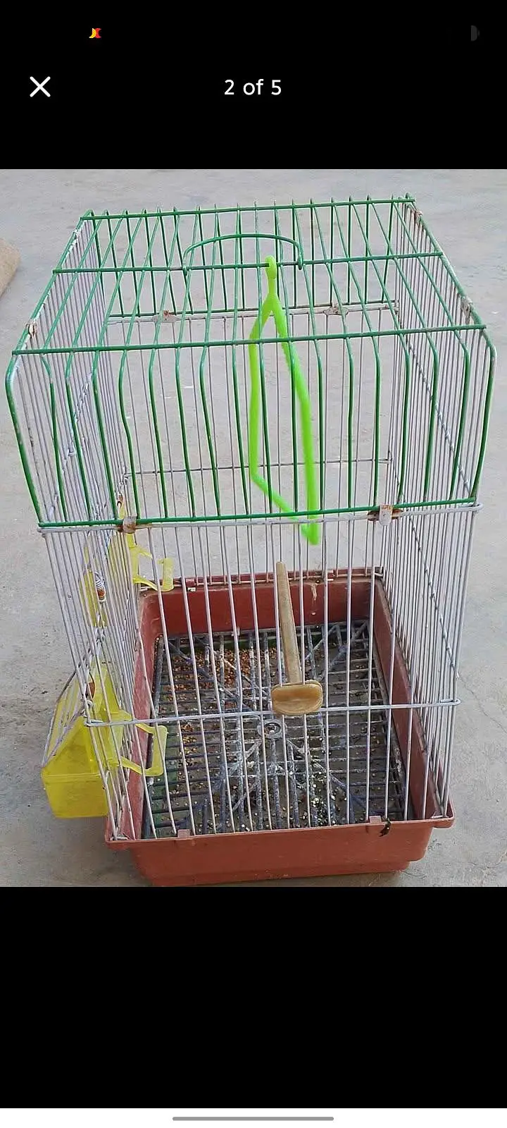pair and Cage available — photo 8