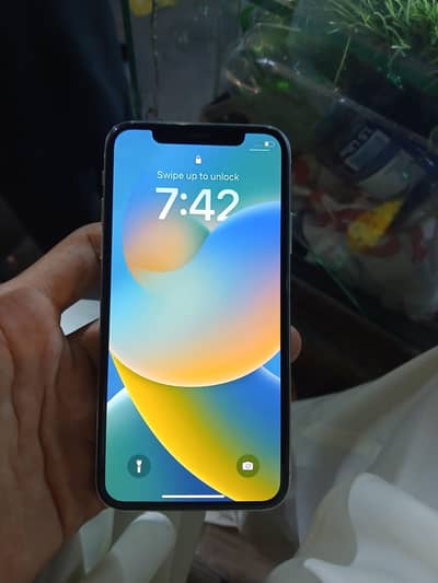 Apple iPhone X