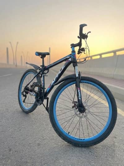 Mountain Apple bycycle