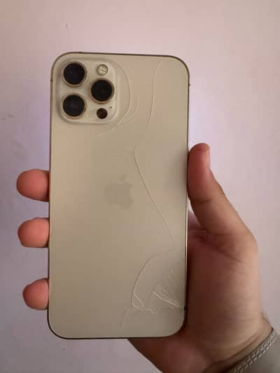 Apple iPhone 12 Pro Max