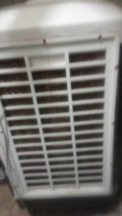 totally jenman ha coper me ha 03224046538