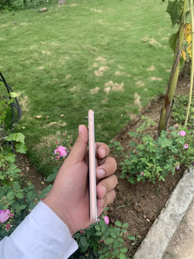 Apple iPhone 8 Plus 2